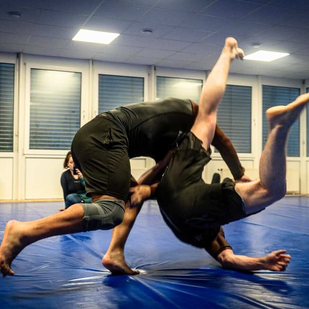 SG-Website Bilder (1000x1000px)_9